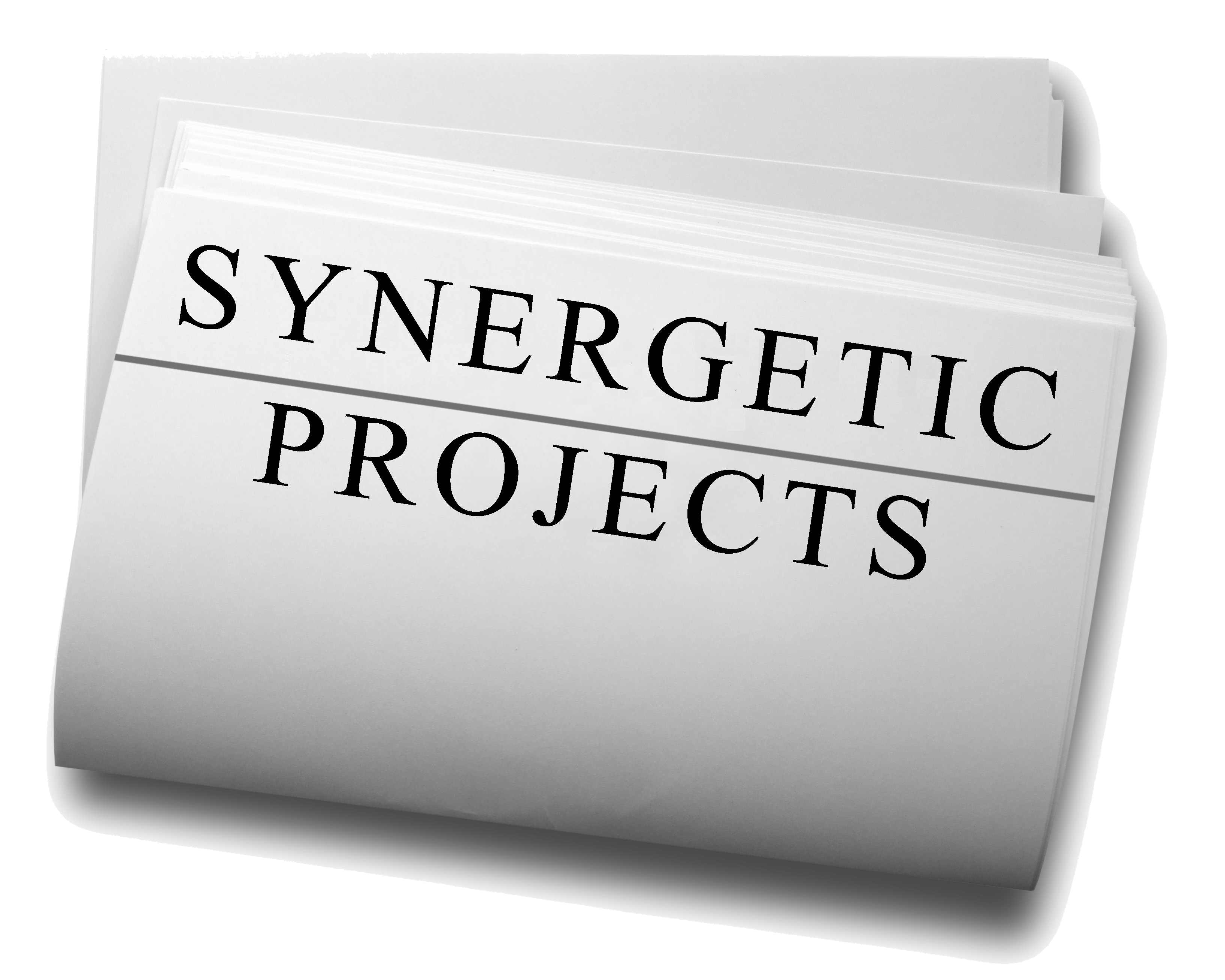 Synergetic Projects